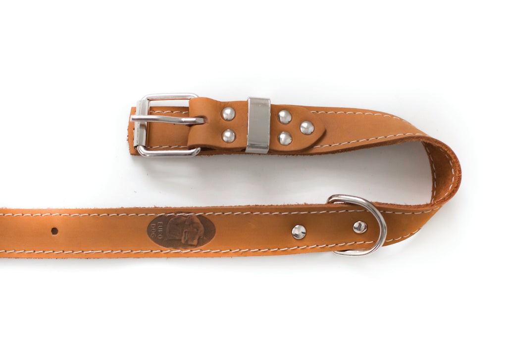 Pro Line Leather Hunting Dog Collar – Full-Grain, Brass D-Ring
