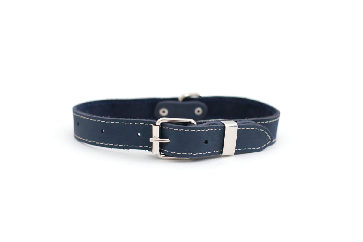 Pro Line Leather Hunting Dog Collar – Full-Grain, Brass D-Ring