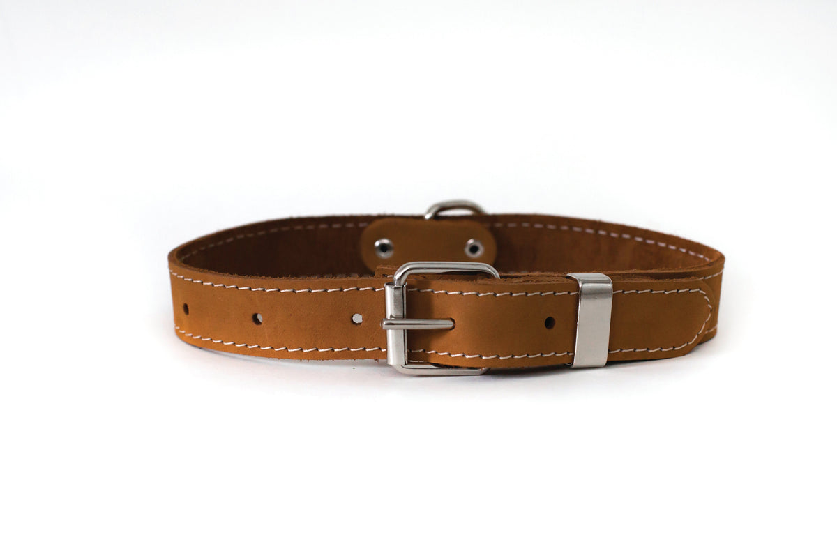 Pro Line Leather Hunting Dog Collar – Full-Grain, Brass D-Ring