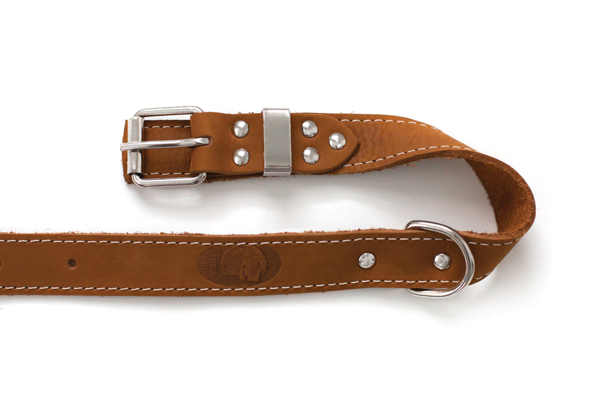 Pro Line Leather Hunting Dog Collar – Full-Grain, Brass D-Ring