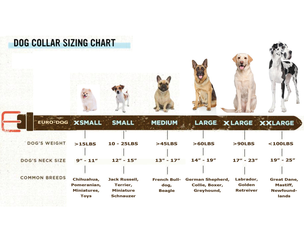 Pro Line Leather Hunting Dog Collar – Full-Grain, Brass D-Ring
