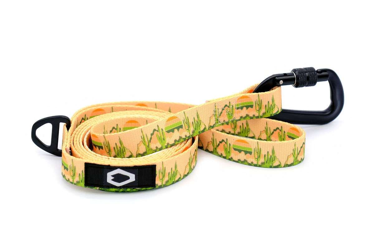 Outdoor Dog Collar & Leash Set – Nylon, Locking Carabiner