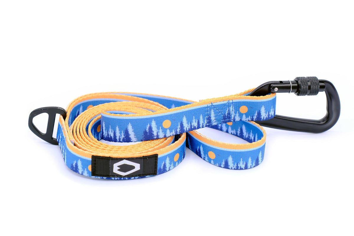 Outdoor Dog Collar & Leash Set – Nylon, Locking Carabiner