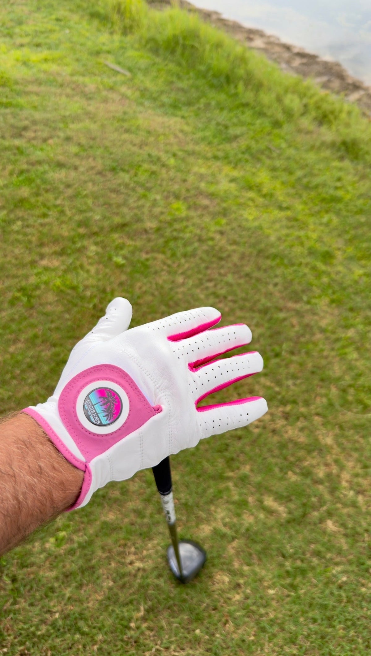 Logie Joe's Cabretta Golf Glove – Palm Trees, Magnetic Ball Marker