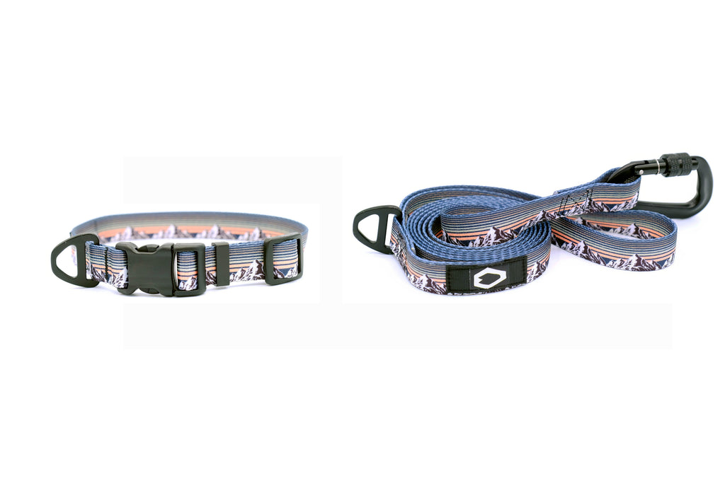 Outdoor Dog Collar & Leash Set – Nylon, Locking Carabiner