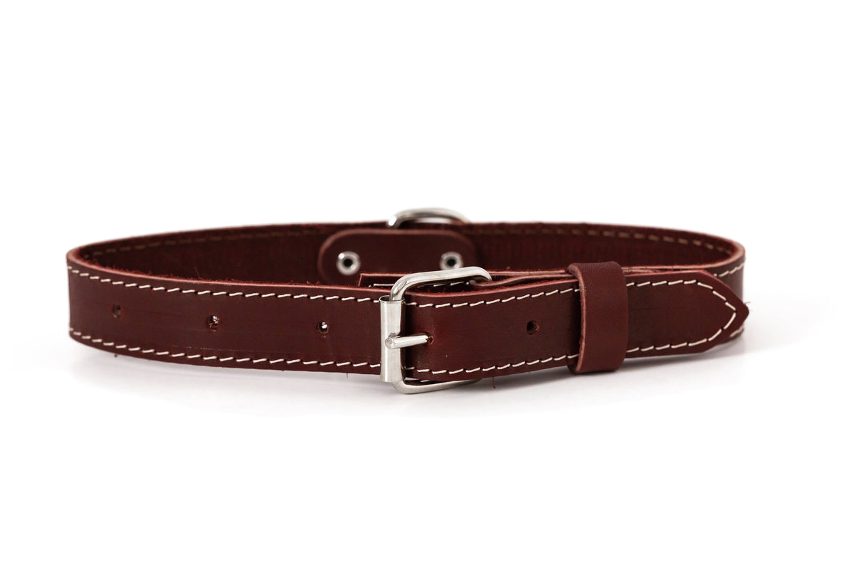 Pro Line Leather Hunting Dog Collar – Full-Grain, Brass D-Ring