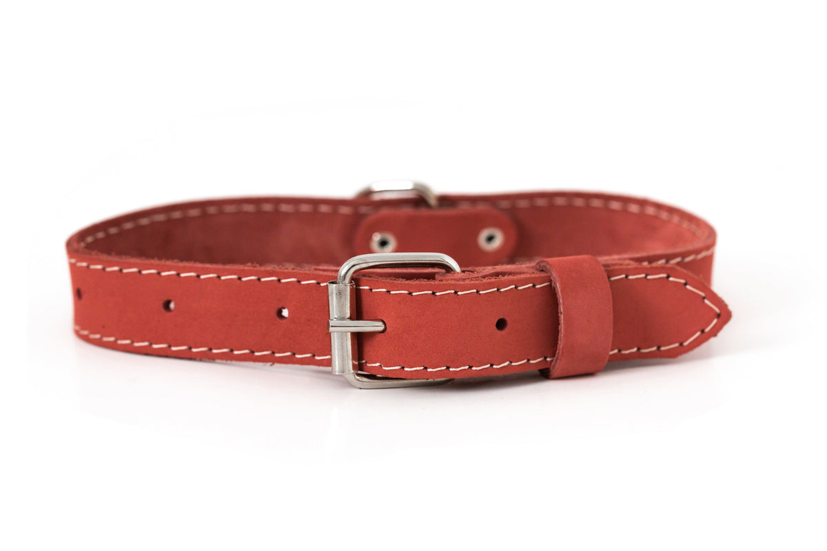 Pro Line Leather Hunting Dog Collar – Full-Grain, Brass D-Ring