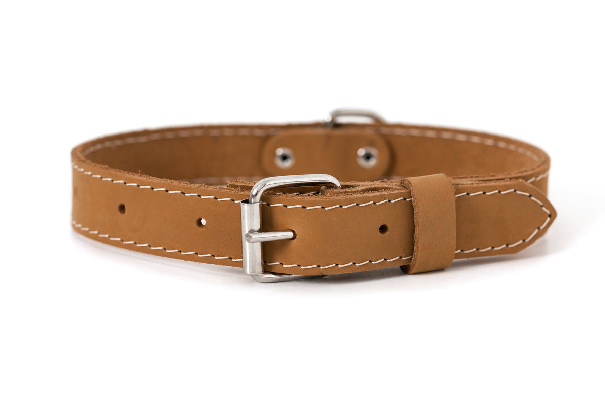 Pro Line Leather Hunting Dog Collar – Full-Grain, Brass D-Ring