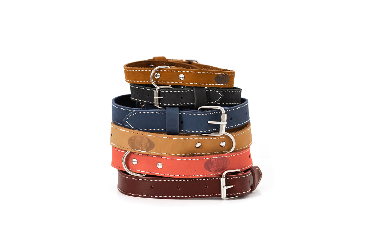 Pro Line Leather Hunting Dog Collar – Full-Grain, Brass D-Ring